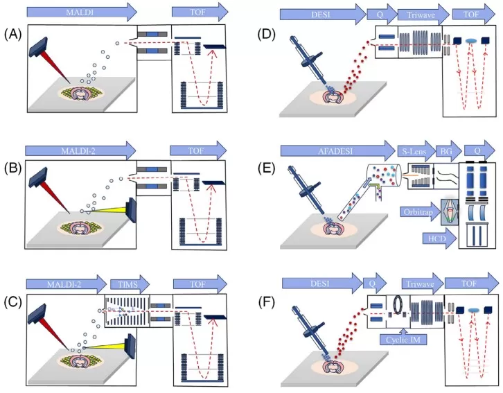 MSI instrumentation and platforms used for spatially resolved metabolomics